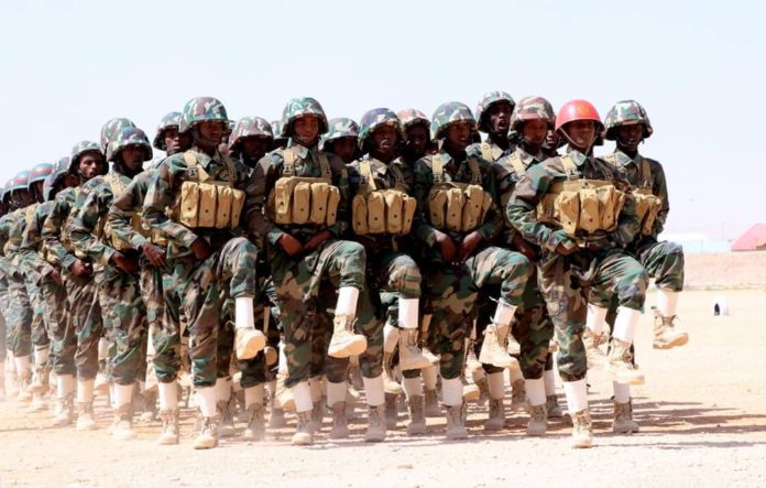 Ciidanka-Puntland-696x443