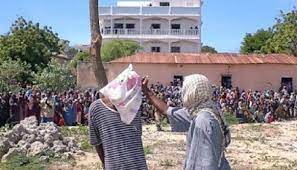 Shabaab oo Dil Ku Fuliyay Laba Askari oo Ka Tirsanaa Ciidamadda Dowladda