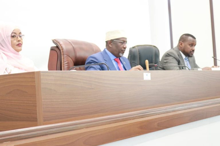 Guddoonka Golaha Shacabka oo Magacaabay Guddiga Doorashada Madaxweynaha