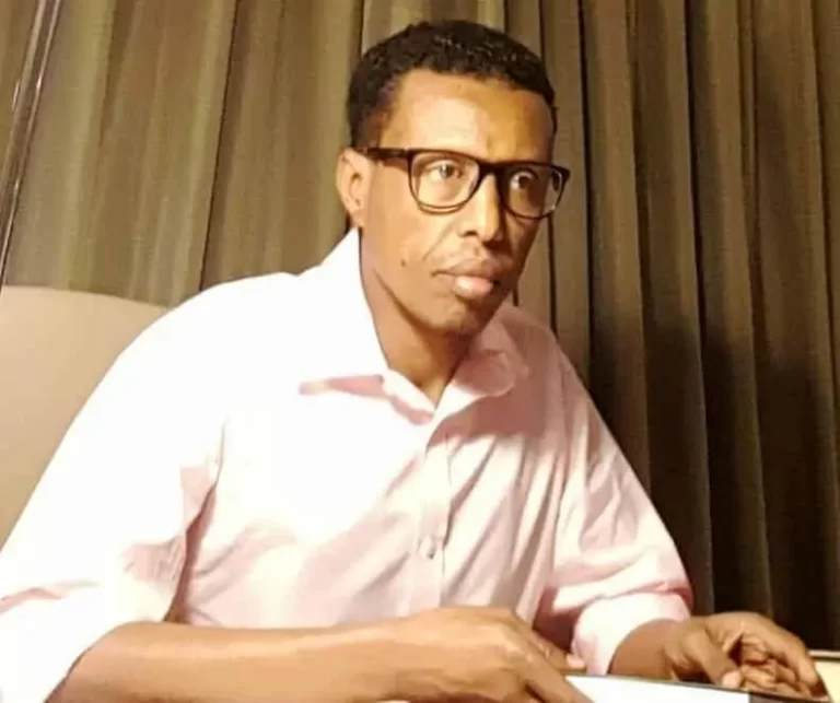 Maxaa Ka Jira in Hogaanka Kooxda TPLF iyo DFS ay Kulan La Yeesheen