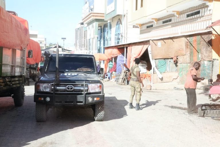 Laamaha Amaanka oo Howlgalo Ka Dhan ah Al-shabaab Ka Sameeyay Suuqa Bakaaraha