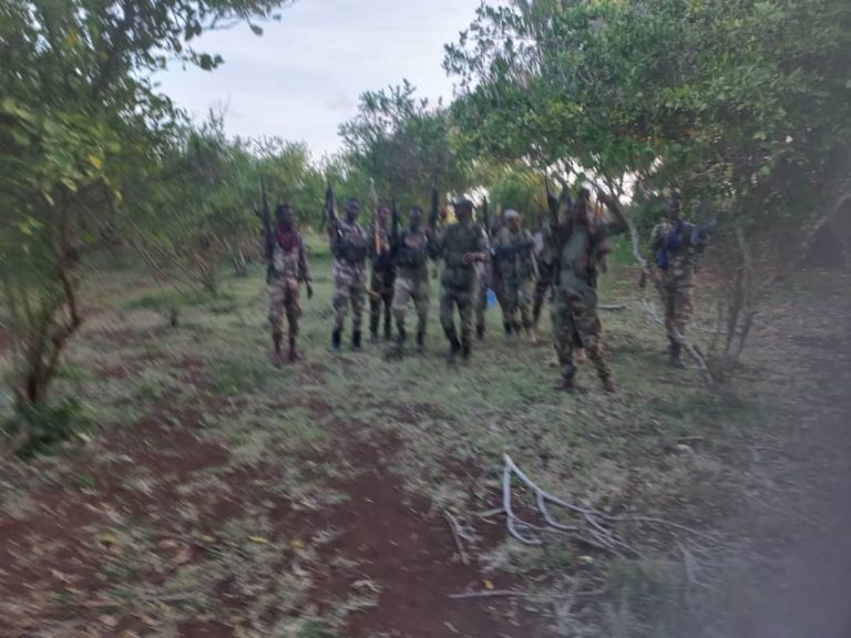 Ciidamadda Dowladda oo La Wareegay Deegaanka Basra iyo Tuulooyin kale.