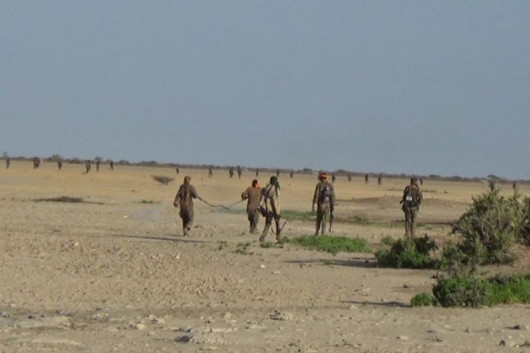 Al-shabaab oo Sheegay in ay Dileen 50 Kamid ah Ciidamada Liyuu Boolis