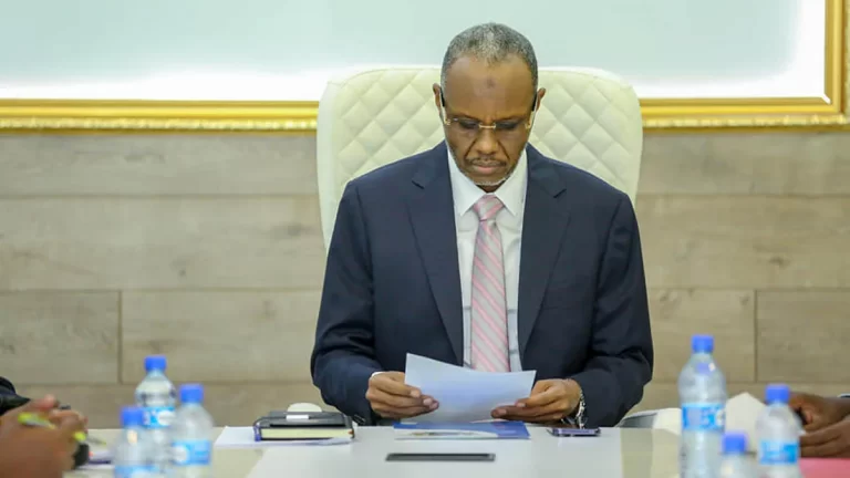 Madaxweynaha Koonfur Galbeed Soomaaliya oo Xilal Ka Qaaday Wasiiro