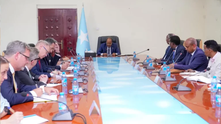 Madaxweyne Xasan Shiikh Maxamuud oo La Kulmay Safiiradda Midowga Yurub ee Soomaaliya