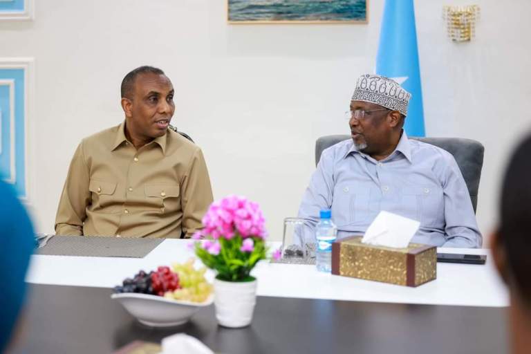 Raisulwasaare Xamze oo Kulan Mahadcelin ah u Sameeyay Guddoonka Baarlamaanka