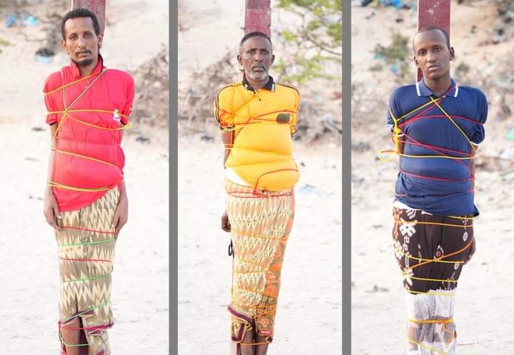 Maxkamadda CQS oo Dil Ku Fulisay Xubno Al-shabaab La Shaqeynayay