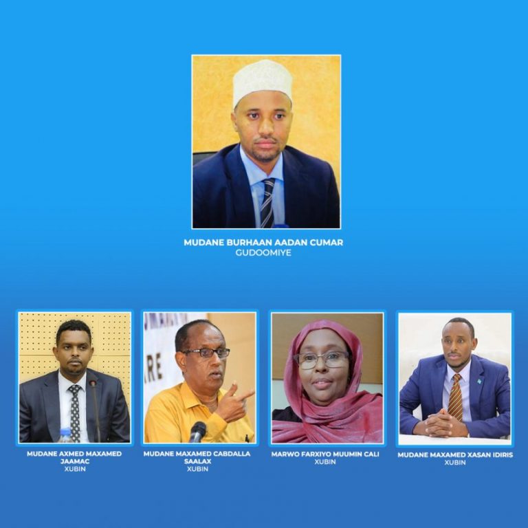 Madaxweyne Xasan Shiikh oo Saxiixay Guddiga Madaxa-bannaan ee Dastuurka