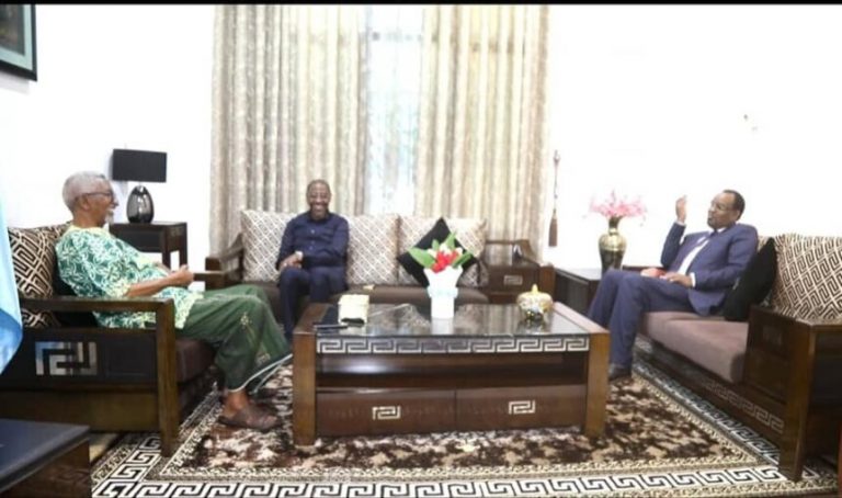 Ergeyga Wada-hadalka Somaliya iyo SL oo La Kulmay Gudoomiyaha Aqalka Sare