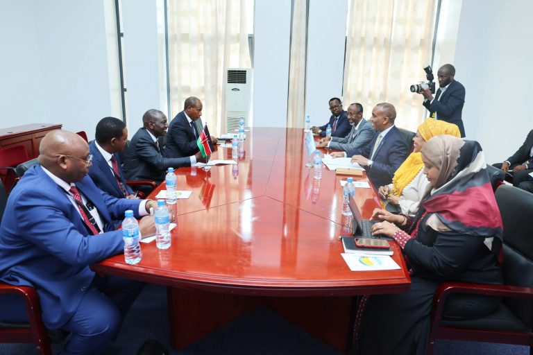 RW Xamza oo Ruto Kala Hadlay Fududeynta Dal-ku galka iyo Ciribtirka Shabaab