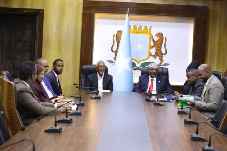 Guddoonka Labadda Aqal oo Kawada Hadlay Dib u Eegista Dastuurka
