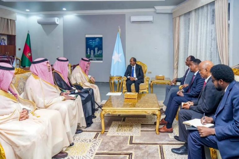 Madaxweyne Xasan Shiikh oo La Kulmay Wafdi ka Socday Sacuudiga