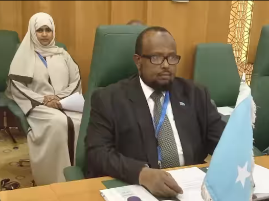 Soomaaliya oo ka qayb gashay shirka Ergooyinka joogtada ah ee Ururka OIC