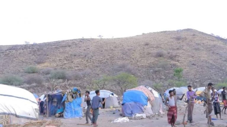 Soomalida galbeedka sitti oo guul ka garay dagaalkii canfarta.