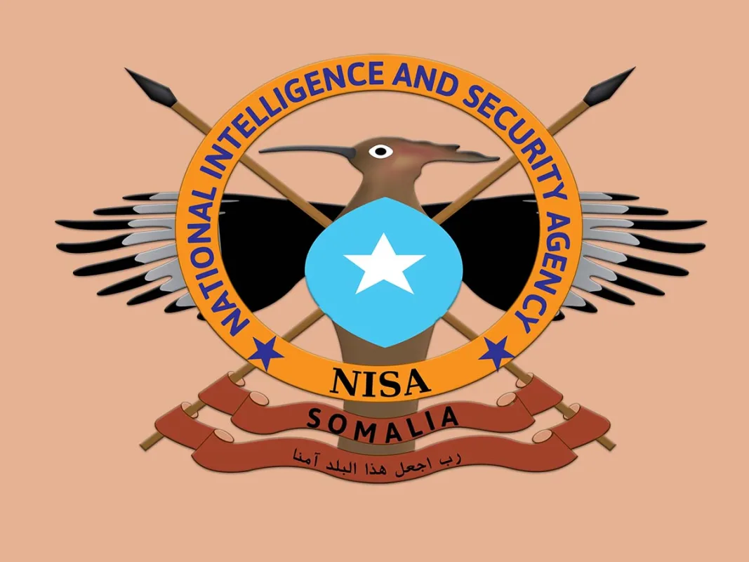 nisa-logos-1067x800